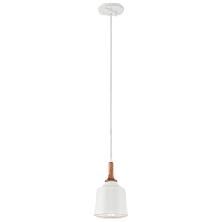 Buy white-and-white-shade Danika Mini Pendant by Kichler
