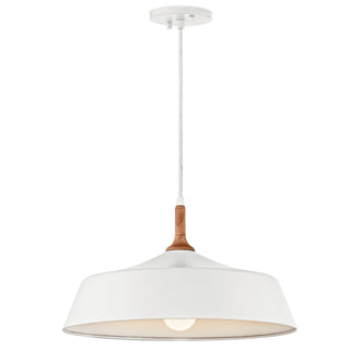 Buy white-and-white-shade Danika Pendant by Kichler