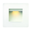 Luna Outdoor (Wet) Step and Wall Light by Hinkley