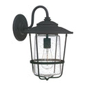 Creekside Lantern by Capital Lighting