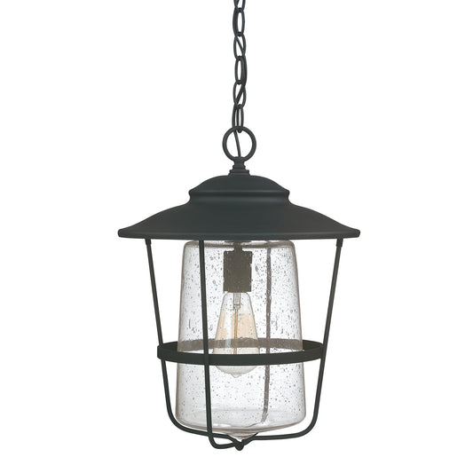 Creekside Hanging Lanterns by Capital Lighting – Lights: 1 Light (13.00"W x 17.50"H) – Finish: Black and Clear Shade – Capital Lighting-9604BK