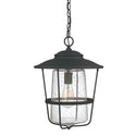Creekside Lantern by Capital Lighting