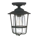 Creekside Flush Mount Light by Capital Lighting
