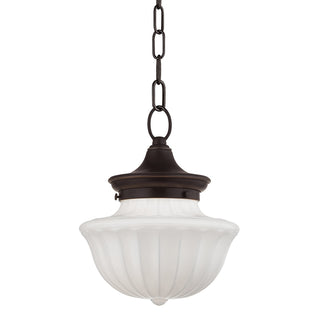Buy old-bronze Dutchess Outdoor (Damp) Pendant by Hudson Valley