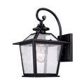 Salem Wall Lantern by Acclaim Lighting