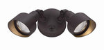 Acclaim Lighting-LFL2ABZ|MAIN