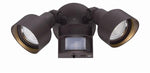 Acclaim Lighting-LFL2ABZM|MAIN