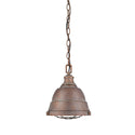 Bartlett Outdoor (Damp) Pendant by Golden