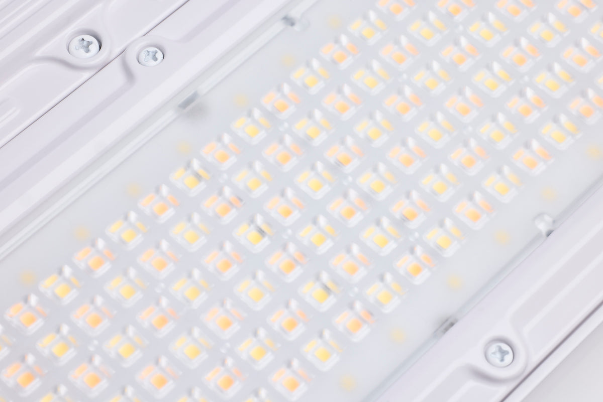 Nuvo Lighting-65-1170|ALT|3