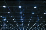 Nuvo Lighting-65-506|ALT|6