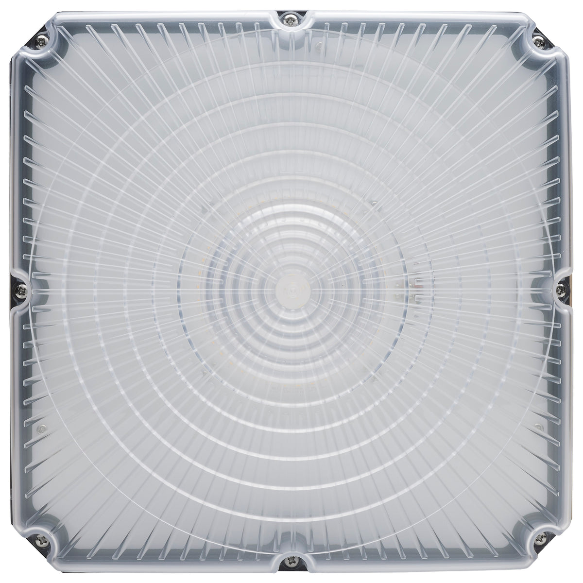 Nuvo Lighting-65-981|ALT|3