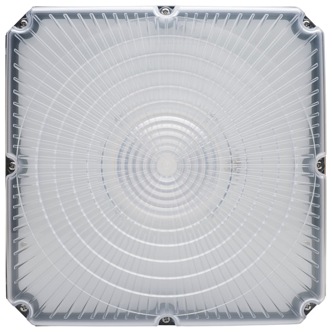Nuvo Lighting-65-981|ALT|3