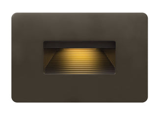 Luna Outdoor (Wet) Step and Wall Light by Hinkley