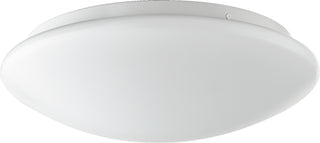 Round Acrylic Ceiling Mounts Outdoor (Damp) Ceiling Light by Quorum