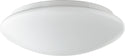 Round Acrylic Ceiling Mounts Outdoor (Damp) Ceiling Mount Light by Quorum