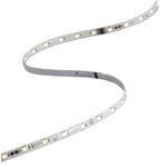 W.A.C. Lighting-LED-T24P-5-WT|MAIN