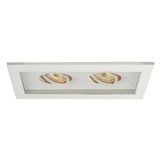 Buy white-white Mr Multiples LED Trim by W.A.C. Lighting