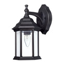 Outdoor Wall Lantern by Capital Lighting