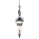 Anastasia Outdoor Outdoor (Wet) Lantern by Kalco