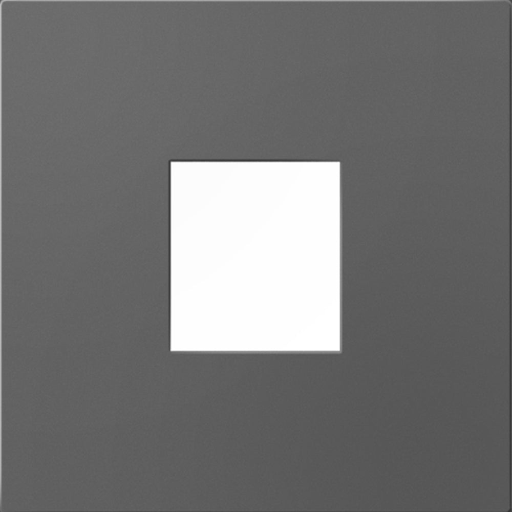 adorne 1-Port Frame by Legrand