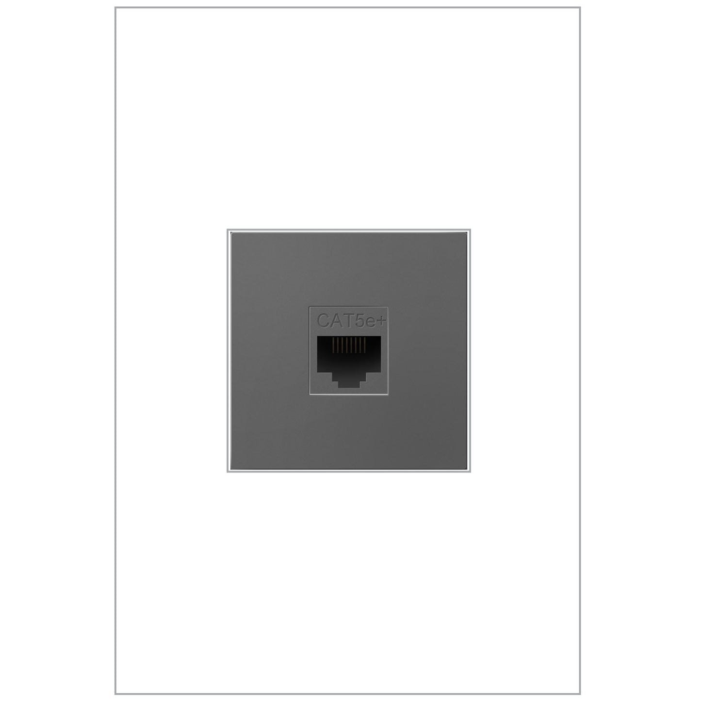 adorne Cat 5e RJ45 Data/Phone Insert by Legrand