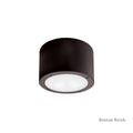 Vessel Flush Mount Ceiling Light by Modern Forms