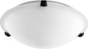 Ceiling Mounts Outdoor (Damp) Ceiling Mount Light by Quorum