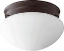 Opal Mushrooms Outdoor (Damp) Ceiling Mount Light by Quorum