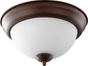Ceiling Mounts Outdoor (Damp) Ceiling Mount Light by Quorum