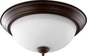 Ceiling Mounts Outdoor (Damp) Ceiling Mount Light by Quorum