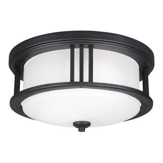 Crowell Outdoor (Damp) Flush Mount Ceiling Light by Generation Lighting