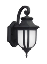 Generation Lighting-8536301-12|MAIN