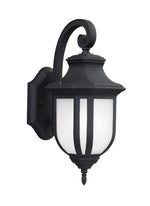Generation Lighting-8636301-12|MAIN