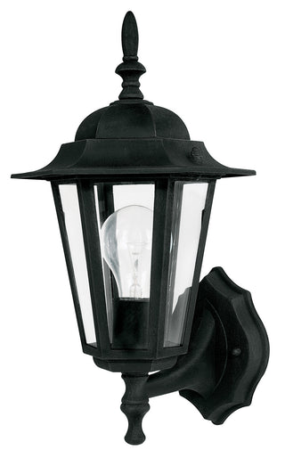 Buy black Outdoor Wall Lantern by Capital Lighting
