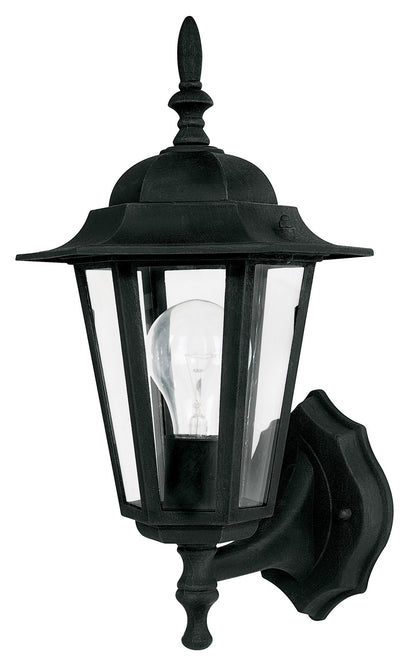 Outdoor Wall Lantern by Capital Lighting