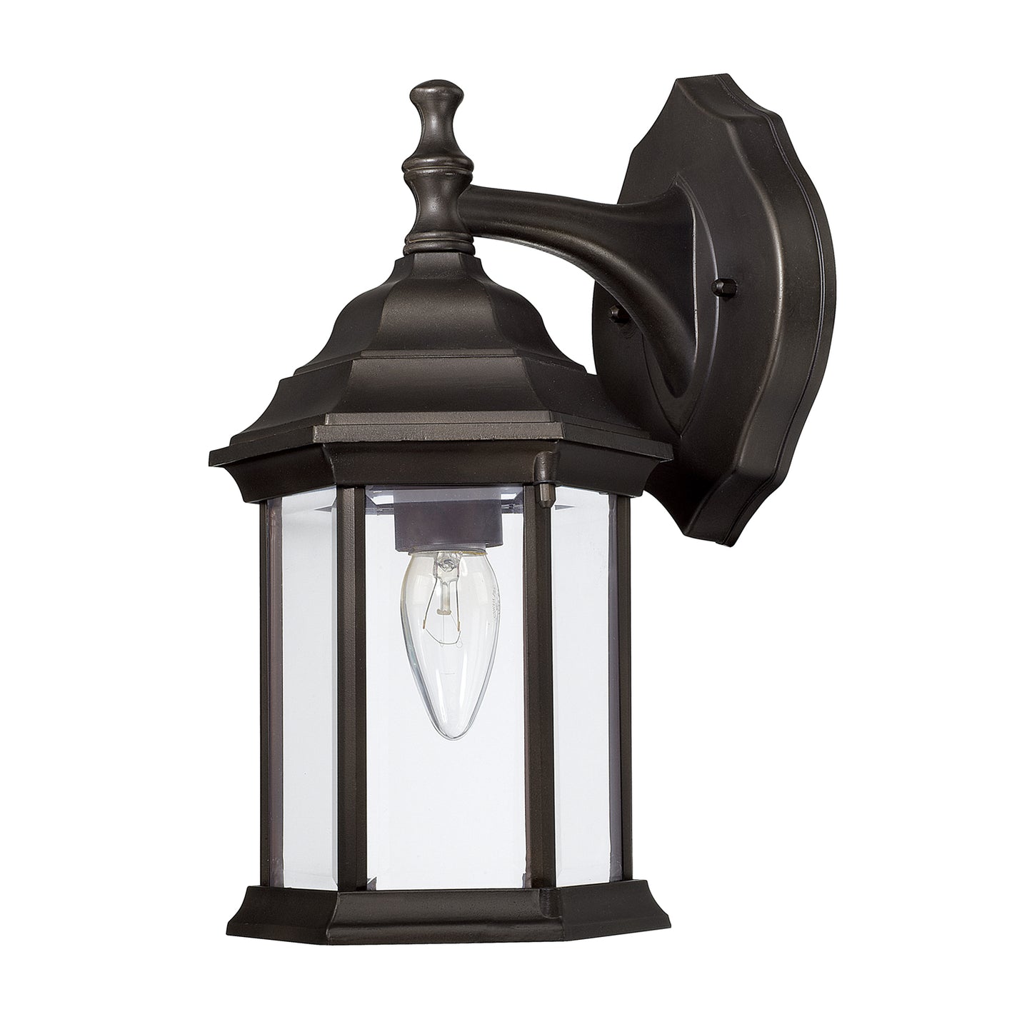 Outdoor Wall Lantern by Capital Lighting