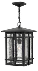 Tucker Outdoor (Damp) Hanging Lantern by Hinkley
