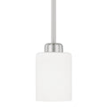 Dixon Pendant by Capital Lighting