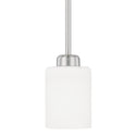 Dixon Pendant by Capital Lighting