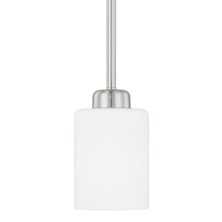 Dixon Pendant by Capital Lighting