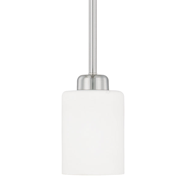 Dixon Pendant by Capital Lighting