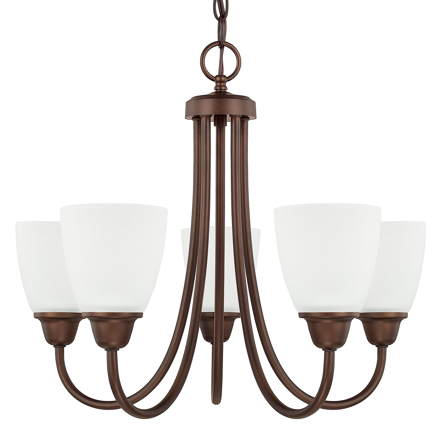 Trenton Chandelier by Capital Lighting