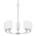 Dixon Chandelier by Capital Lighting