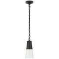 Robinson Outdoor (Damp) Pendant by Visual Comfort Signature