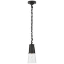 Robinson Outdoor (Damp) Pendant by Visual Comfort Signature