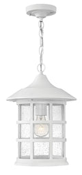 Freeport Outdoor (Damp) Hanging Lanterns by Hinkley