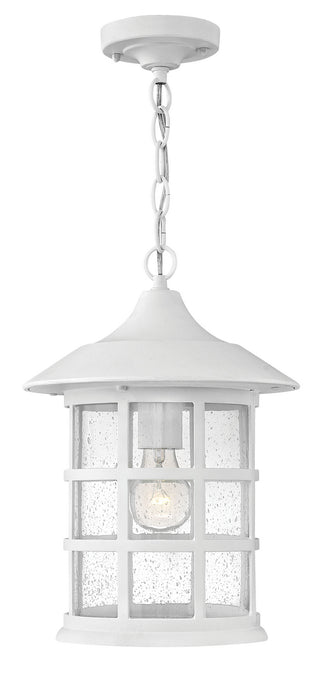 Buy classic-white-with-clear-seedy-glass Freeport Outdoor (Damp) Hanging Lanterns by Hinkley
