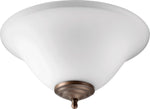 Quorum-1177-801|MAIN