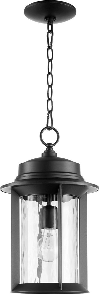 Buy textured-black-with-clear-hammered-glass Charter Outdoor (Damp) Hanging Lanterns by Quorum