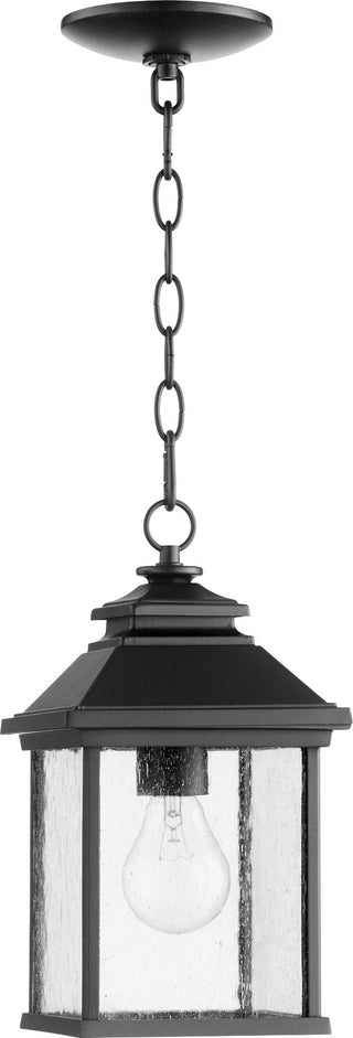 Buy textured-black-with-clear-seeded-glass-and-clear-shade Pearson Outdoor (Damp) Hanging Lanterns by Quorum